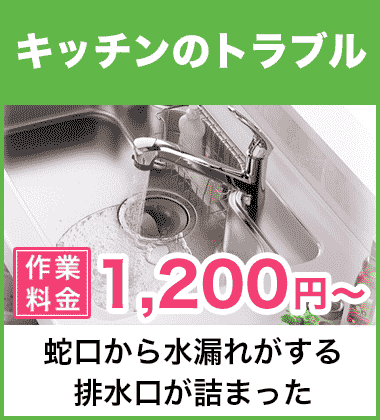 キッチン（台所）の蛇口の水漏れ修理 長久手市